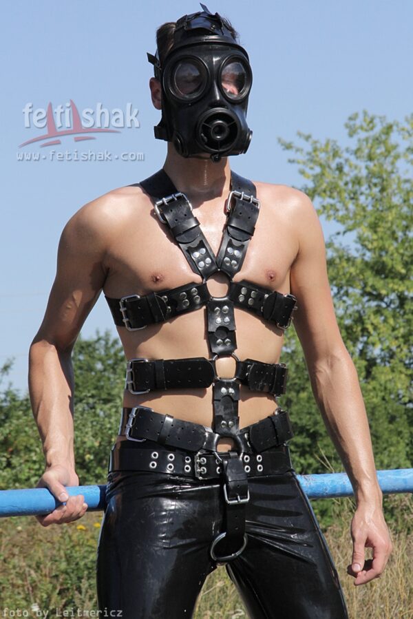 Alterable Body Harness